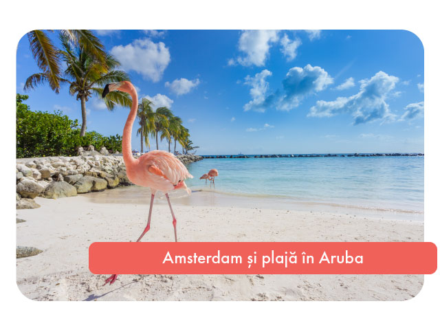 Sejur combinat in Amsterdam si plaja in Aruba