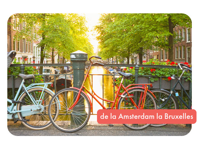 Tur cu bicileta de la Amsterdam la Bruxelles
