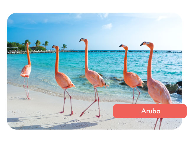 Vacanta ta exotica in Aruba